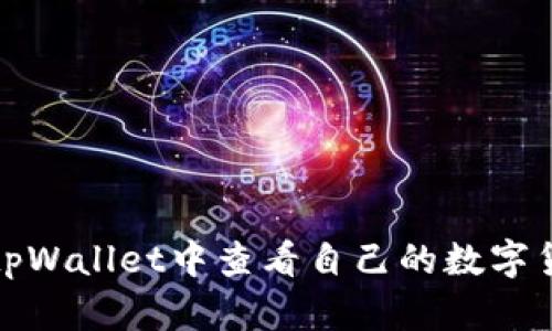如何在tpWallet中查看自己的数字货币余额