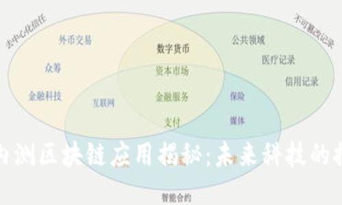 最新内测区块链应用揭秘：未来科技的推动者