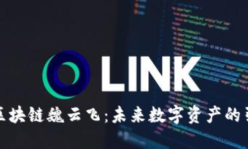 火币区块链魏云飞：未来数字资产的引领者