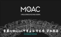苹果tpWallet下载后如何使用：详细指南