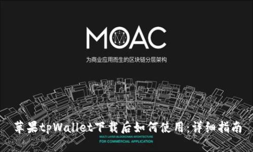 苹果tpWallet下载后如何使用：详细指南