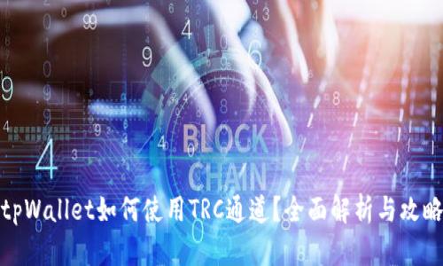 tpWallet如何使用TRC通道？全面解析与攻略