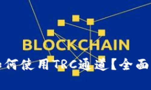 tpWallet如何使用TRC通道？全面解析与攻略