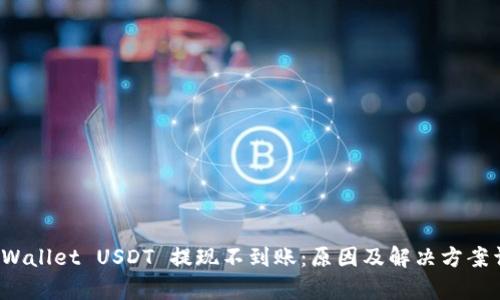  tpWallet USDT 提现不到账：原因及解决方案详解