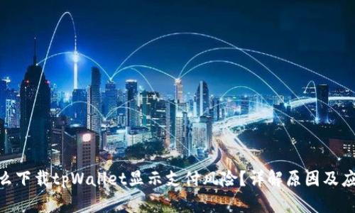: 为什么下载tpWallet显示支付风险？详解原因及应对措施