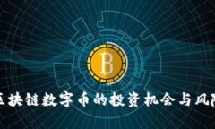 最近区块链数字币的投资机会与风险分析