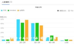 区块链技术中的SHCT币：前景、应用及投资指南