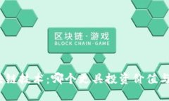 挖币与区块链技术：哪个更具投资价值与应用潜