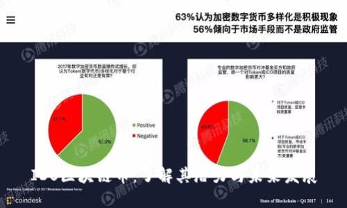 IDS区块链币：了解其潜力与未来发展