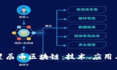 深入了解星辰币区块链：技术、应用与未来前景