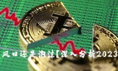 区块链币是风口还是泡沫？深入分析2023年投资前