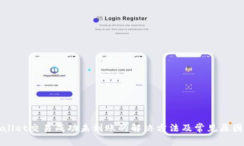 tpWallet交易成功未到账的解决方法及常见原因分析