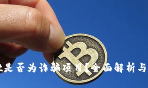 tpWallet是否为诈骗项目？全面解析与用户指南