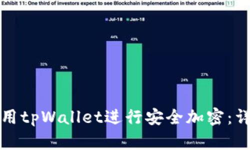 如何使用tpWallet进行安全加密：详细指南