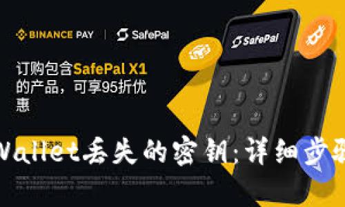 如何找回tpWallet丢失的密钥：详细步骤与解决方案