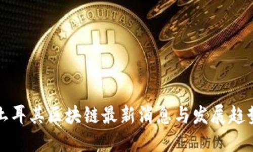 土耳其区块链最新消息与发展趋势