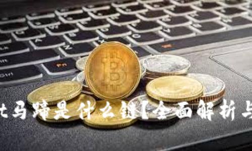 tpWallet马蹄是什么链?全面解析与应用前景
