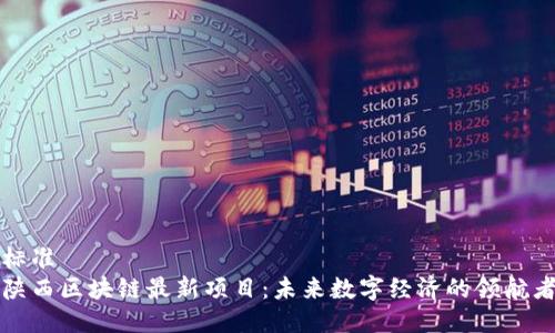 标准
陕西区块链最新项目:未来数字经济的领航者