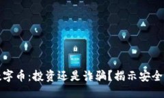 思考的 区块链数字币:投资还是诈骗?揭示安全