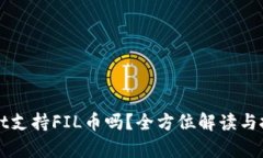 tpWallet支持FIL币吗?全方位解读与投资指南
