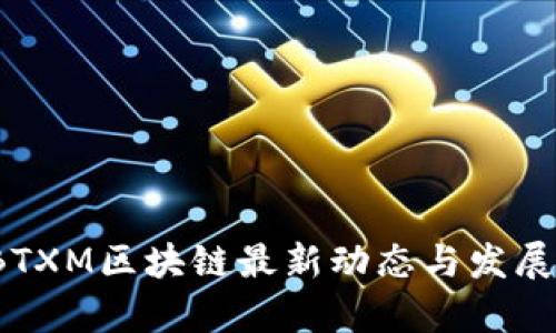 2023年BTXM区块链最新动态与发展趋势分析