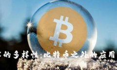 区块链技术的多样性:比特币之外的应用与未来
