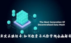 新发区块链币:如何投资与风险管理全面解析