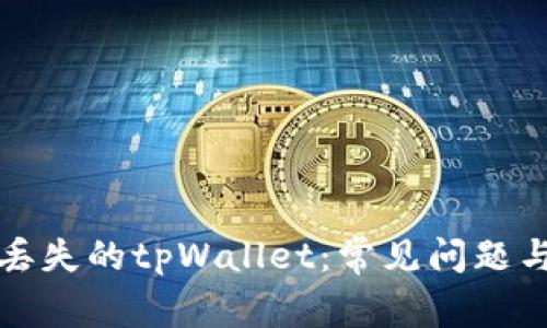 如何找回丢失的tpWallet:常见问题与解决办法