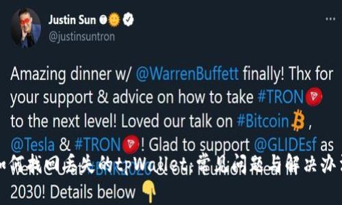 如何找回丢失的tpWallet:常见问题与解决办法