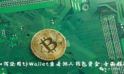 如何使用tpWallet查看他人钱包资金：全面指南