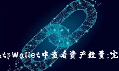 如何在tpWallet中查看资产数量：完整指南