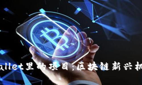 深入了解tpWallet里的项目：区块链新兴机会与投资指南