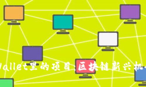 深入了解tpWallet里的项目：区块链新兴机会与投资指南