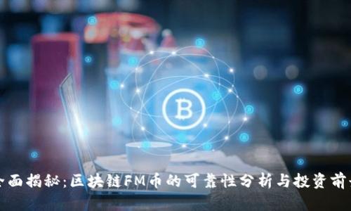 全面揭秘：区块链FM币的可靠性分析与投资前景