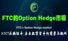 KICT区块链币：未来数字货币的前景与挑战