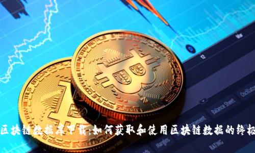 最新区块链数据库下载：如何获取和使用区块链数据的终极指南