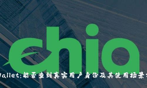 tpWallet：能否查到真实用户身份及其使用场景分析