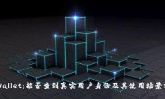 tpWallet：能否查到真实用户身份及其使用场景分析