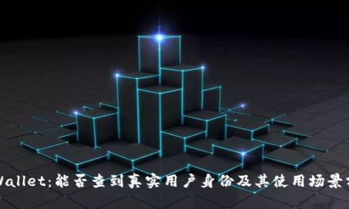 tpWallet：能否查到真实用户身份及其使用场景分析
