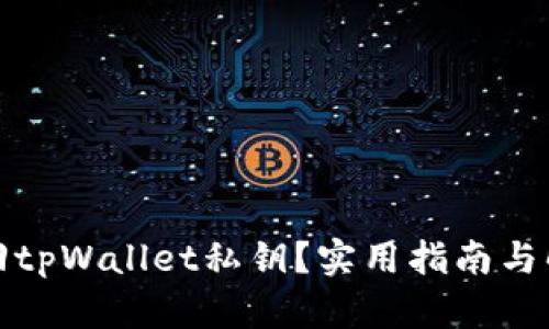 如何找回tpWallet私钥?实用指南与解决方案