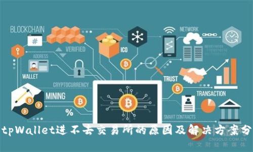 : tpWallet进不去交易所的原因及解决方案分析