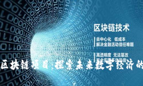 币星星区块链项目:探索未来数字经济的新机遇