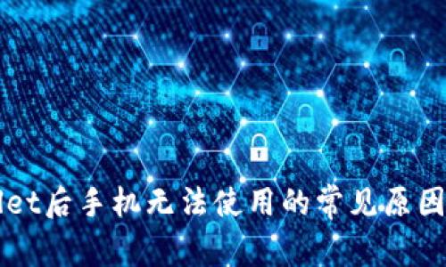 下载tpWallet后手机无法使用的常见原因和解决方案