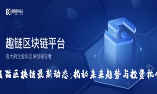 熊猫区块链最新动态：揭秘未来趋势与投资机会