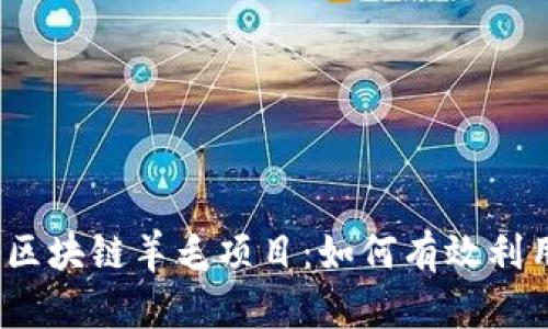 2023年最新区块链羊毛项目：如何有效利用新机会赚钱